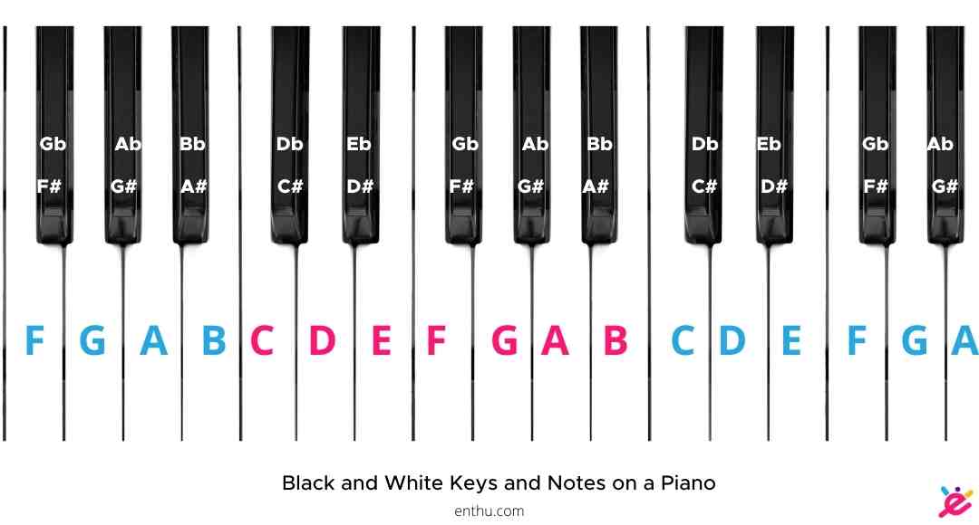 Com etiquetar les tecles del piano? [ImatgesCom etiquetar les tecles del piano? [Imatges  