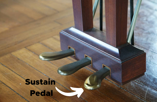 sustain pedal